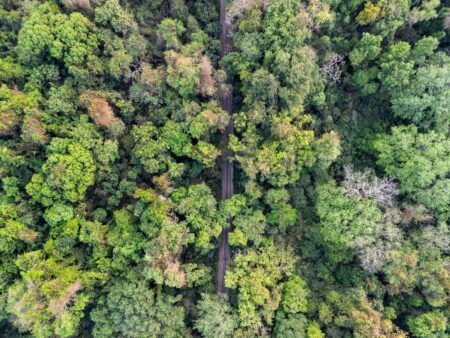 Aerial view of dense green rainforest canopy representing Latin American environmental challenges