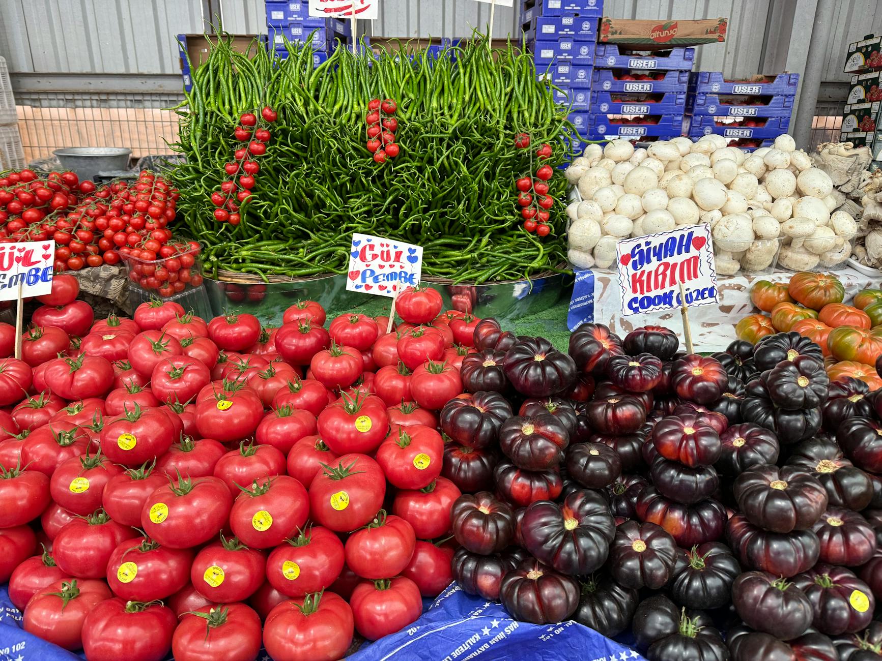 Fresh leafy greens and vegetables harvested from indoor farming